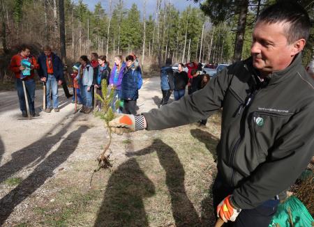 POGOZDOVANJE V RAKOVEM ŠKOCJANU 02 FOTO LJUBO VUKELIČ